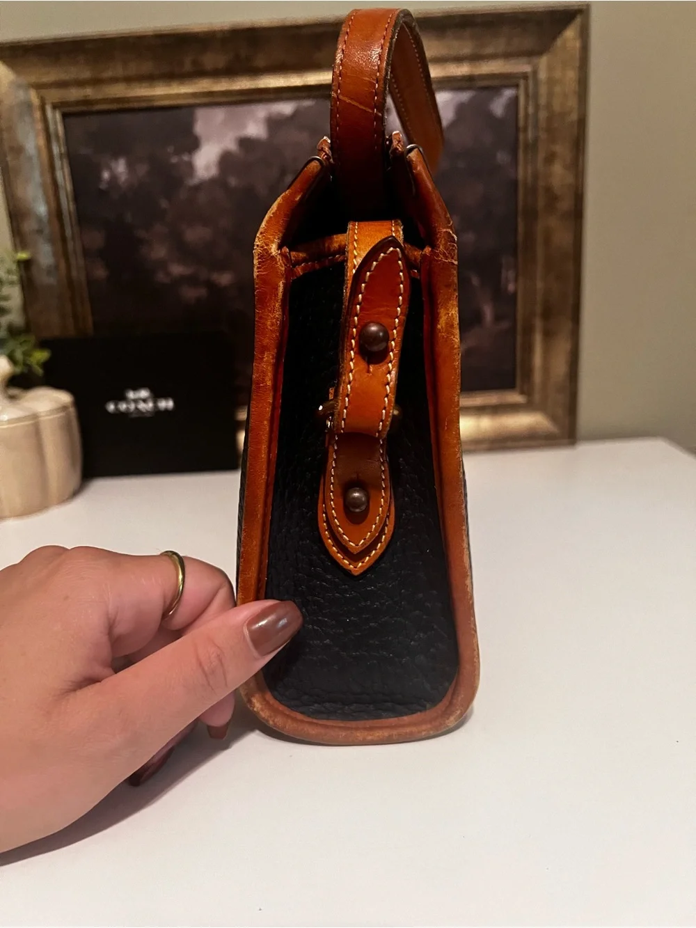 Dooney & Bourke Black and Brown Pebbled Leather Messenger Bag
